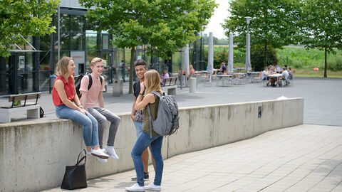 Mehrere Studierende unterhalten sich stehend und sitzend auf einer Mauer miteinander.